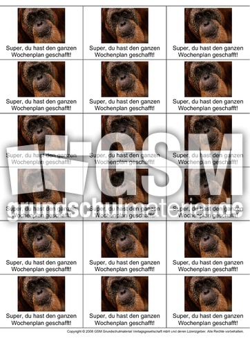 Fleißkärtchen-F-2.pdf